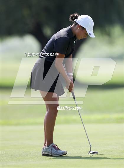 Thumbnail 2 in Arlington County Golf Match  photogallery.