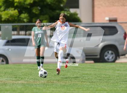 Thumbnail 3 in Skyridge @ Copper Hills photogallery.