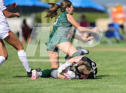 Thumbnail 3 in Skyridge @ Copper Hills photogallery.