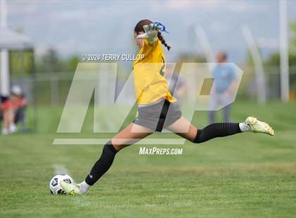 Thumbnail 3 in Skyridge @ Copper Hills photogallery.