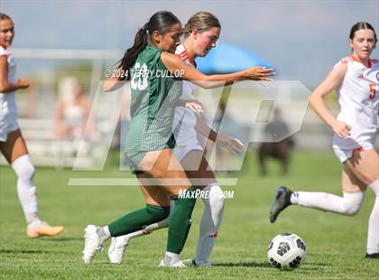 Thumbnail 3 in Skyridge @ Copper Hills photogallery.