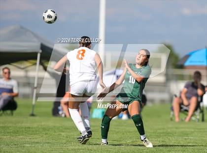 Thumbnail 3 in Skyridge @ Copper Hills photogallery.