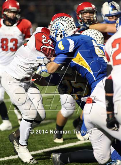 Thumbnail 3 in Conway Springs @ Collegiate photogallery.