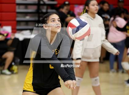 Thumbnail 3 in Marcos de Niza vs Mogollon (The Florence VB Invitational) photogallery.