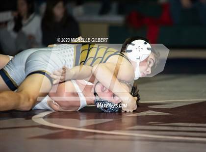 Thumbnail 3 in Falconer @ Chautauqua Lake  photogallery.