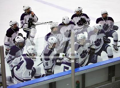 Thumbnail 3 in Massena @ Pittsford photogallery.