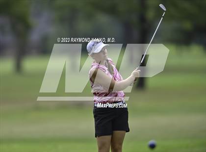 Thumbnail 1 in Daleville v Lapel photogallery.