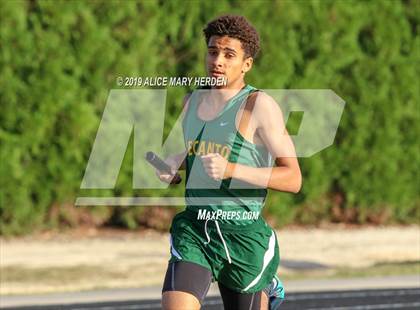 Thumbnail 3 in Springstead Invitational photogallery.