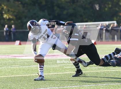 Thumbnail 2 in Lower Merion @ Radnor photogallery.