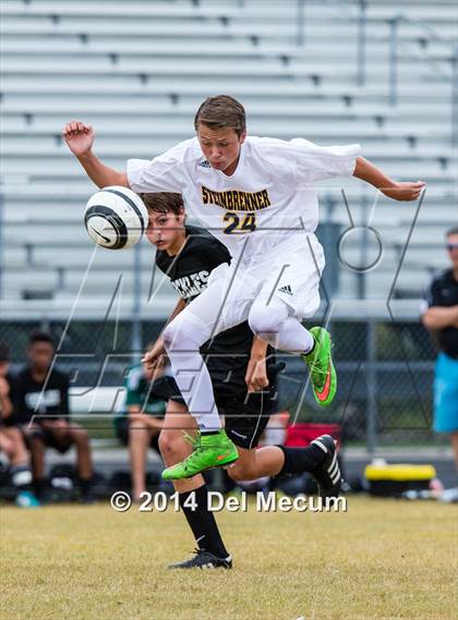 Thumbnail 1 in Steinbrenner vs. Sickles photogallery.