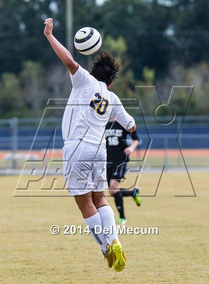 Thumbnail 3 in Steinbrenner vs. Sickles photogallery.