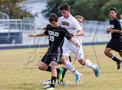 Thumbnail 3 in Steinbrenner vs. Sickles photogallery.