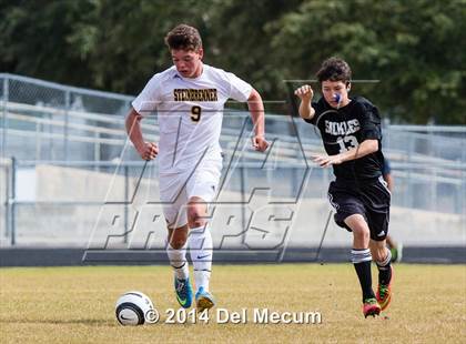 Thumbnail 3 in Steinbrenner vs. Sickles photogallery.