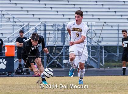 Thumbnail 1 in Steinbrenner vs. Sickles photogallery.