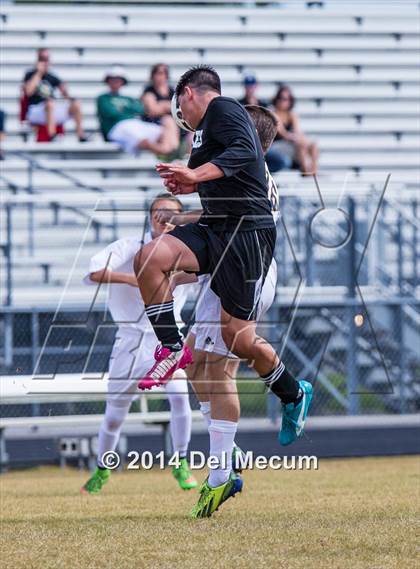 Thumbnail 3 in Steinbrenner vs. Sickles photogallery.