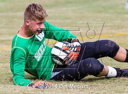 Thumbnail 3 in Steinbrenner vs. Sickles photogallery.