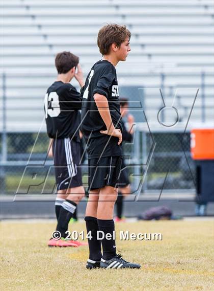 Thumbnail 2 in Steinbrenner vs. Sickles photogallery.