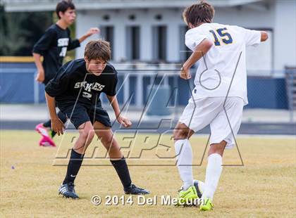 Thumbnail 2 in Steinbrenner vs. Sickles photogallery.
