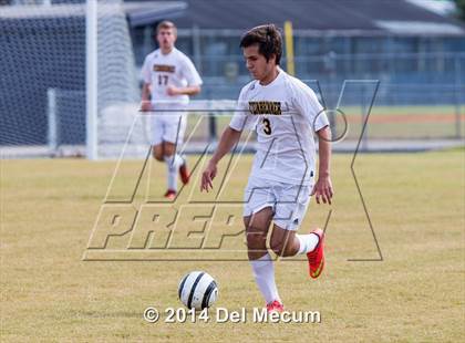 Thumbnail 1 in Steinbrenner vs. Sickles photogallery.