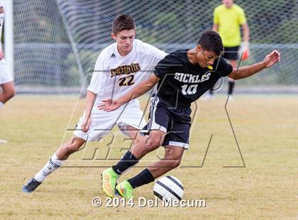 Thumbnail 1 in Steinbrenner vs. Sickles photogallery.