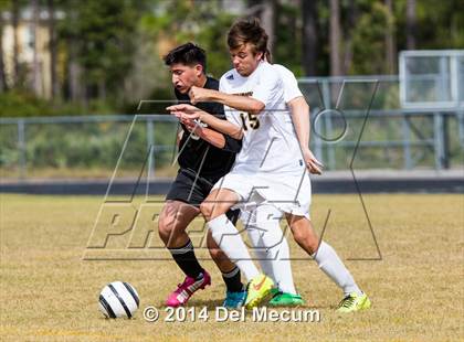 Thumbnail 1 in Steinbrenner vs. Sickles photogallery.