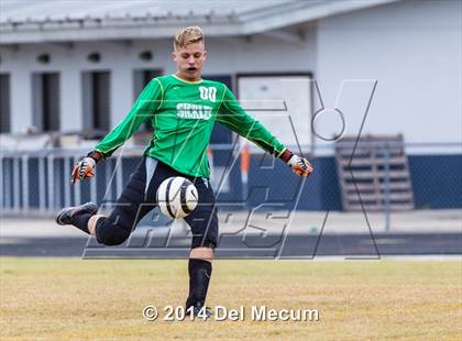 Thumbnail 1 in Steinbrenner vs. Sickles photogallery.