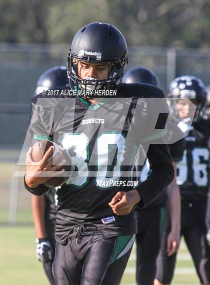 Thumbnail 1 in Springstead @ Weeki Wachee photogallery.
