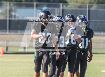 Thumbnail 3 in Springstead @ Weeki Wachee photogallery.