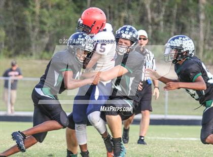 Thumbnail 2 in Springstead @ Weeki Wachee photogallery.