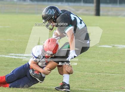 Thumbnail 1 in Springstead @ Weeki Wachee photogallery.