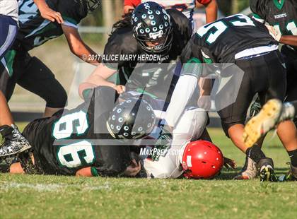 Thumbnail 2 in Springstead @ Weeki Wachee photogallery.