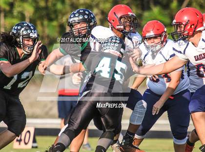 Thumbnail 1 in Springstead @ Weeki Wachee photogallery.
