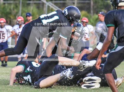 Thumbnail 1 in Springstead @ Weeki Wachee photogallery.