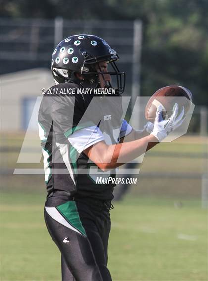 Thumbnail 1 in Springstead @ Weeki Wachee photogallery.