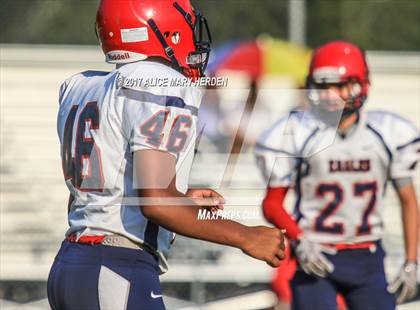 Thumbnail 3 in Springstead @ Weeki Wachee photogallery.