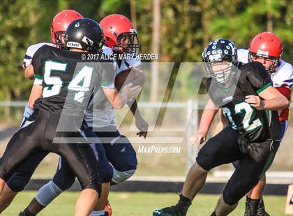 Thumbnail 1 in Springstead @ Weeki Wachee photogallery.