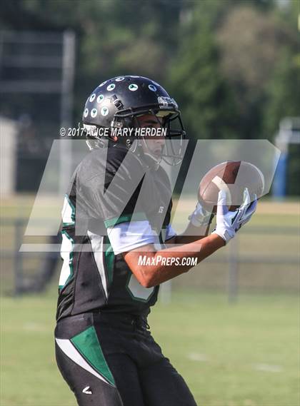 Thumbnail 2 in Springstead @ Weeki Wachee photogallery.