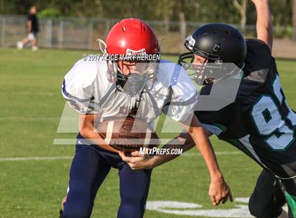 Thumbnail 3 in Springstead @ Weeki Wachee photogallery.