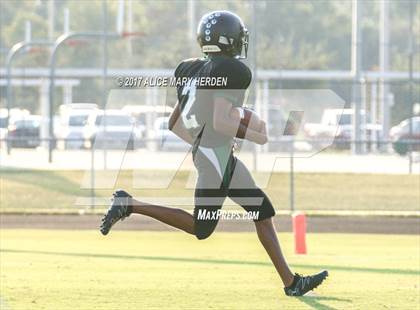 Thumbnail 2 in Springstead @ Weeki Wachee photogallery.