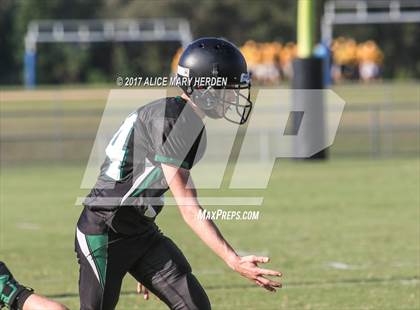 Thumbnail 3 in Springstead @ Weeki Wachee photogallery.