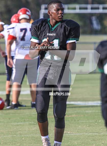 Thumbnail 3 in Springstead @ Weeki Wachee photogallery.