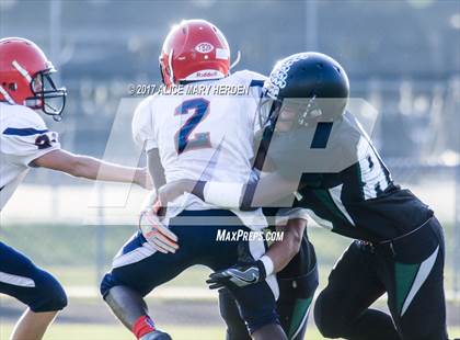 Thumbnail 1 in Springstead @ Weeki Wachee photogallery.