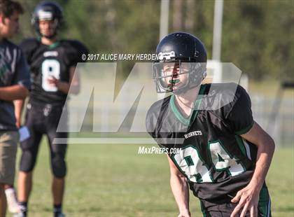 Thumbnail 3 in Springstead @ Weeki Wachee photogallery.