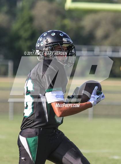 Thumbnail 3 in Springstead @ Weeki Wachee photogallery.