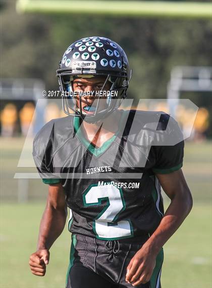 Thumbnail 3 in Springstead @ Weeki Wachee photogallery.