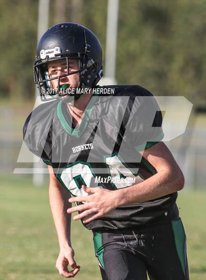 Thumbnail 2 in Springstead @ Weeki Wachee photogallery.