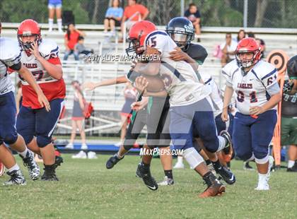 Thumbnail 2 in Springstead @ Weeki Wachee photogallery.