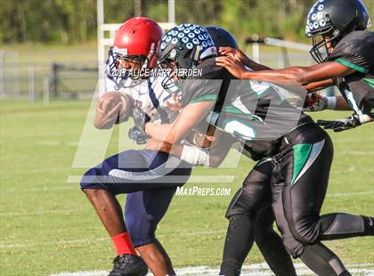 Thumbnail 3 in Springstead @ Weeki Wachee photogallery.