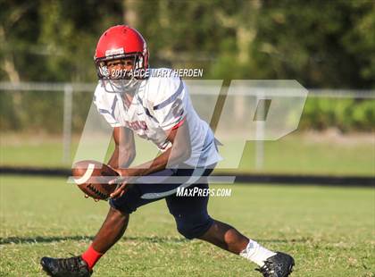 Thumbnail 3 in Springstead @ Weeki Wachee photogallery.