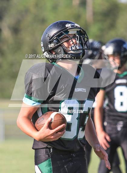 Thumbnail 2 in Springstead @ Weeki Wachee photogallery.